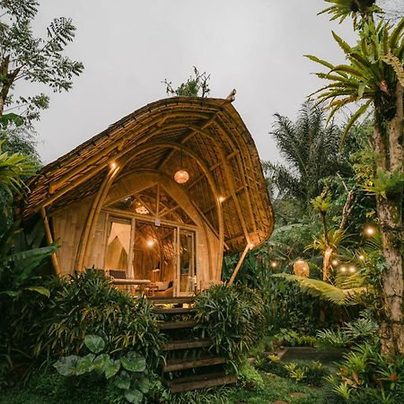 فيلا Arcada Bali Bamboo House سيديمين المظهر الخارجي الصورة