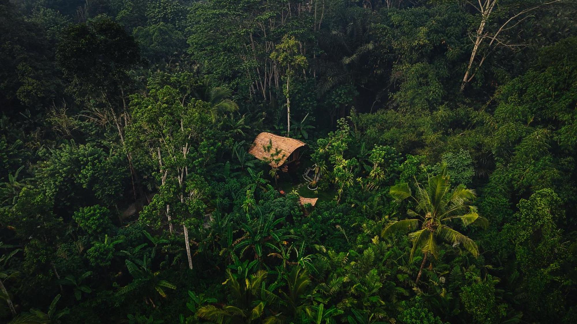 فيلا Arcada Bali Bamboo House سيديمين المظهر الخارجي الصورة