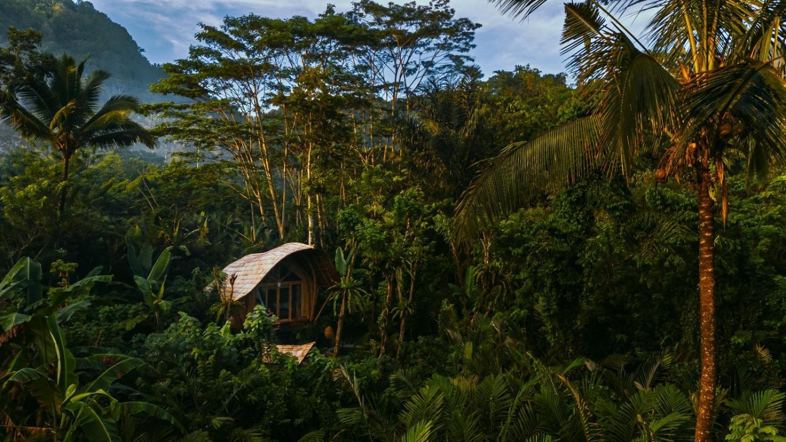 فيلا Arcada Bali Bamboo House سيديمين المظهر الخارجي الصورة
