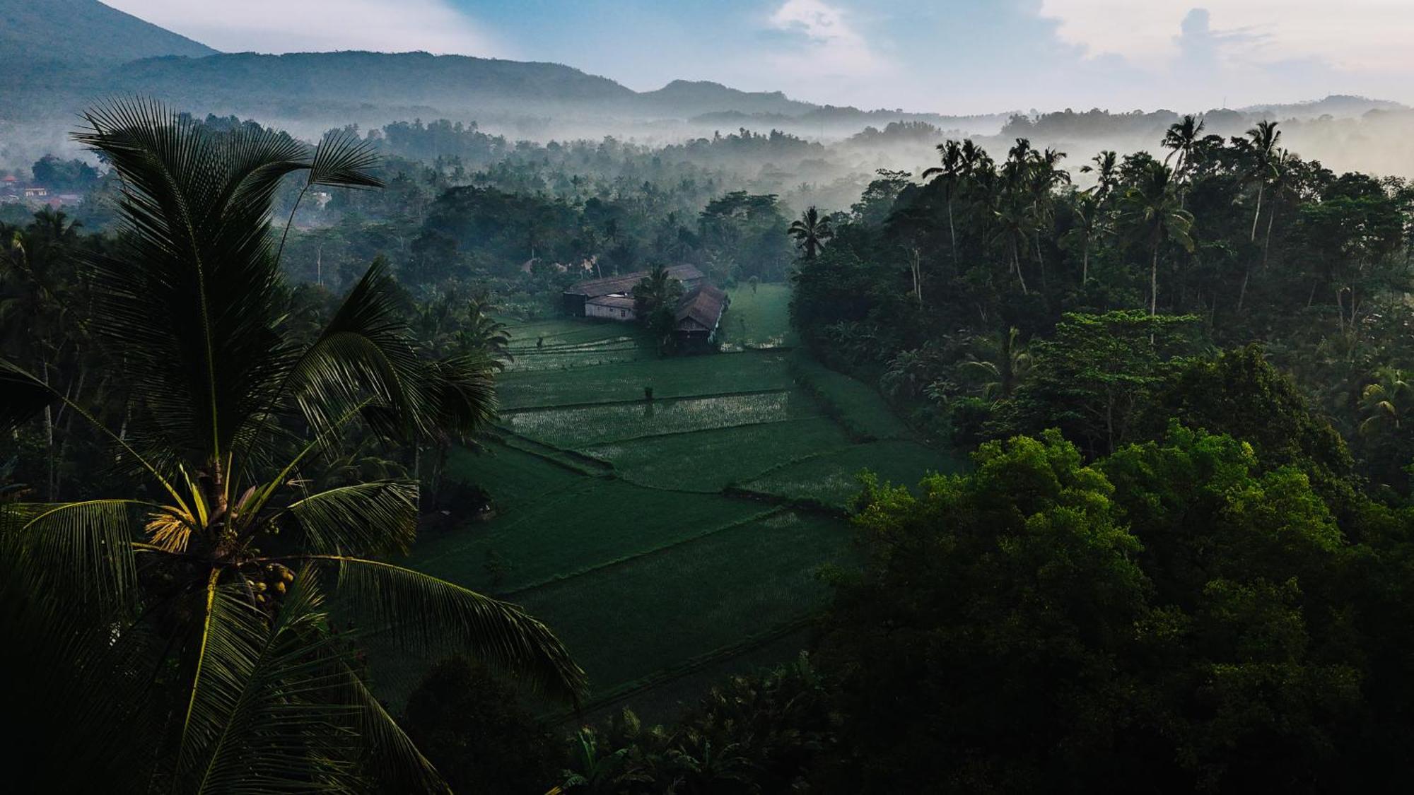 فيلا Arcada Bali Bamboo House سيديمين المظهر الخارجي الصورة