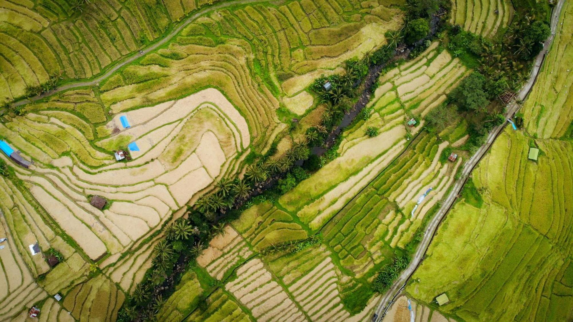 فيلا Arcada Bali Bamboo House سيديمين المظهر الخارجي الصورة