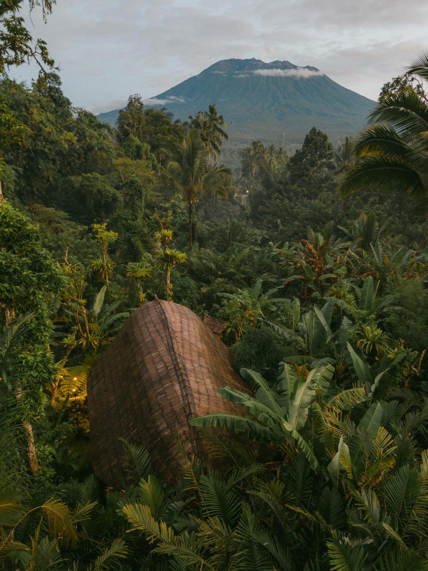 فيلا Arcada Bali Bamboo House سيديمين المظهر الخارجي الصورة