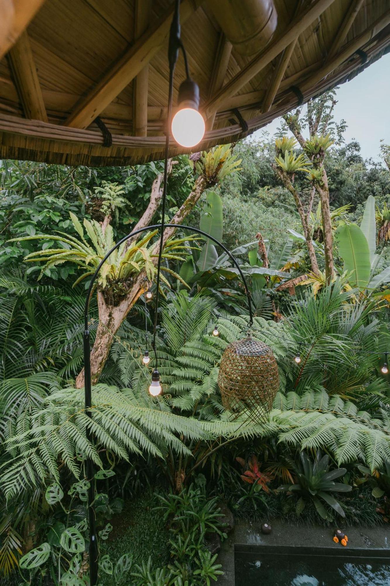 فيلا Arcada Bali Bamboo House سيديمين المظهر الخارجي الصورة