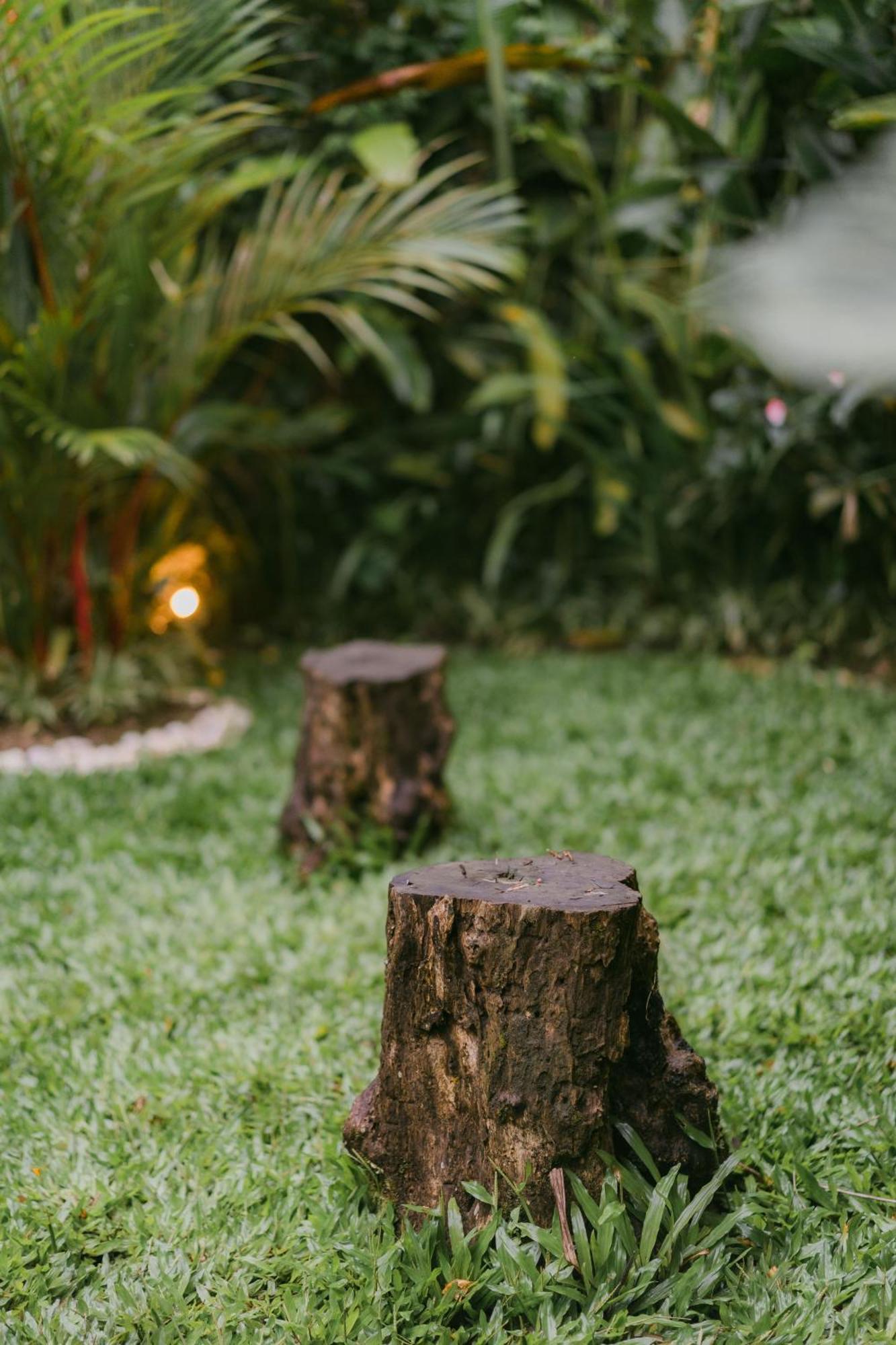 فيلا Arcada Bali Bamboo House سيديمين المظهر الخارجي الصورة