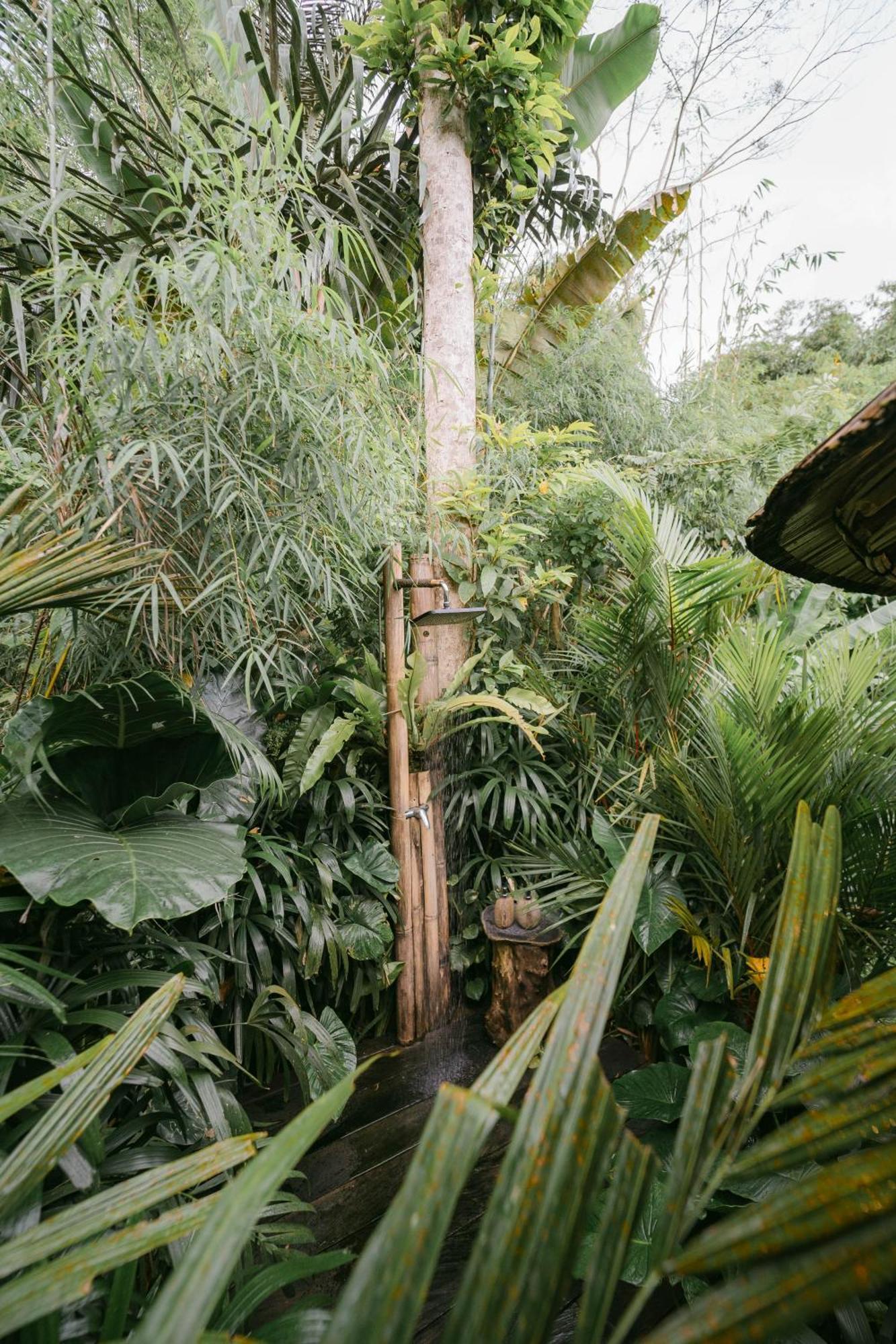 فيلا Arcada Bali Bamboo House سيديمين المظهر الخارجي الصورة