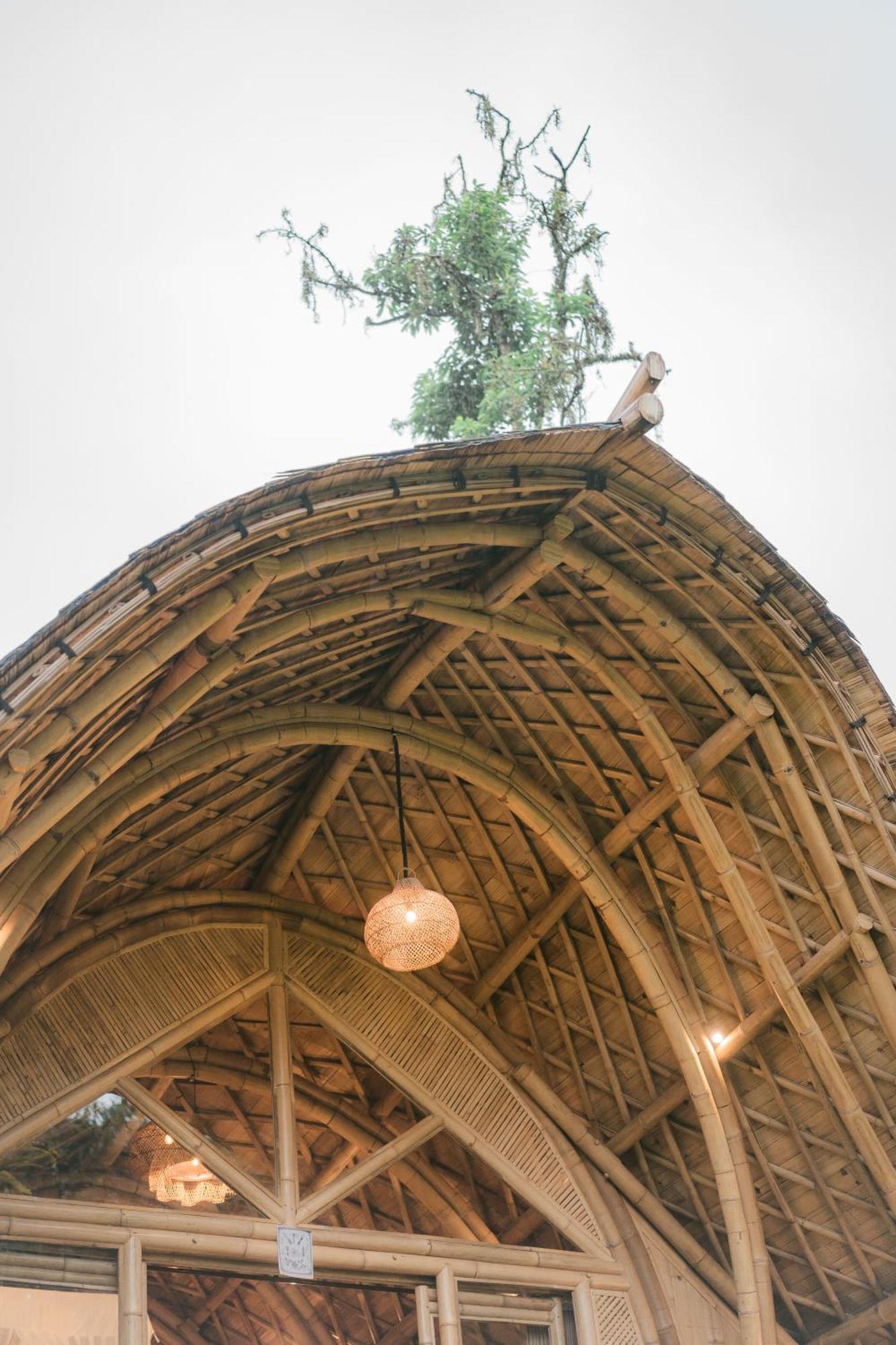 فيلا Arcada Bali Bamboo House سيديمين المظهر الخارجي الصورة